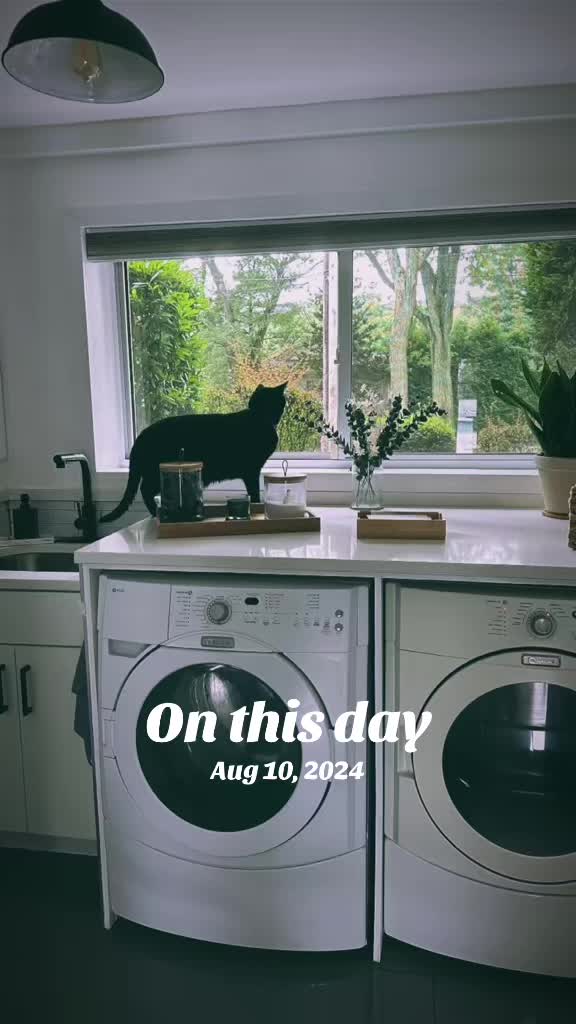 @Oscar Jeremy the cat!