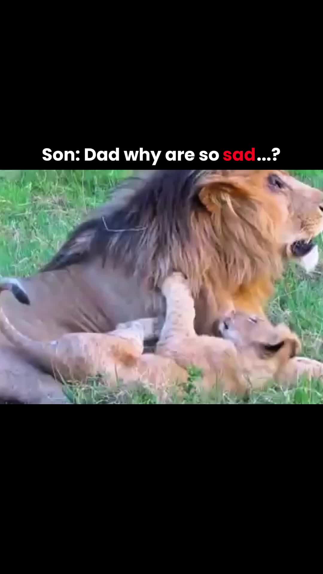 @MPANSO