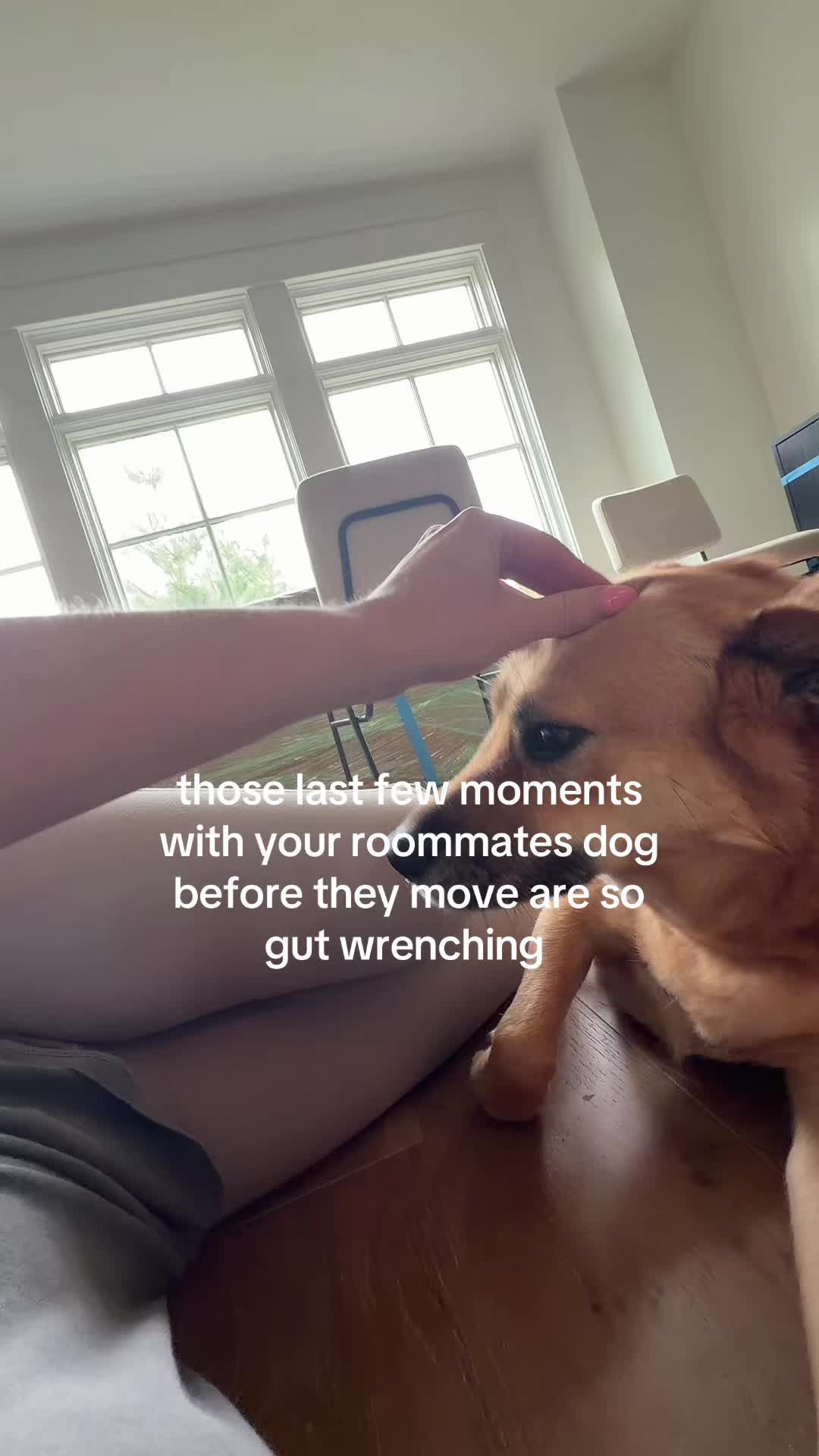 @icecreambrokeback