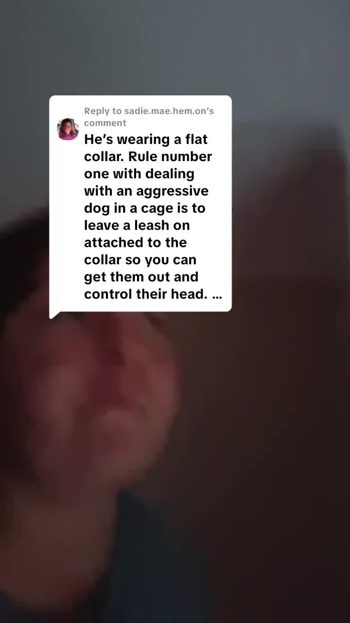 @Natalie Thatmalinoislady