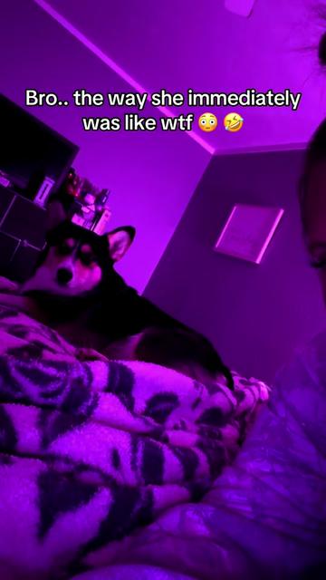 @Authenticallynadatha