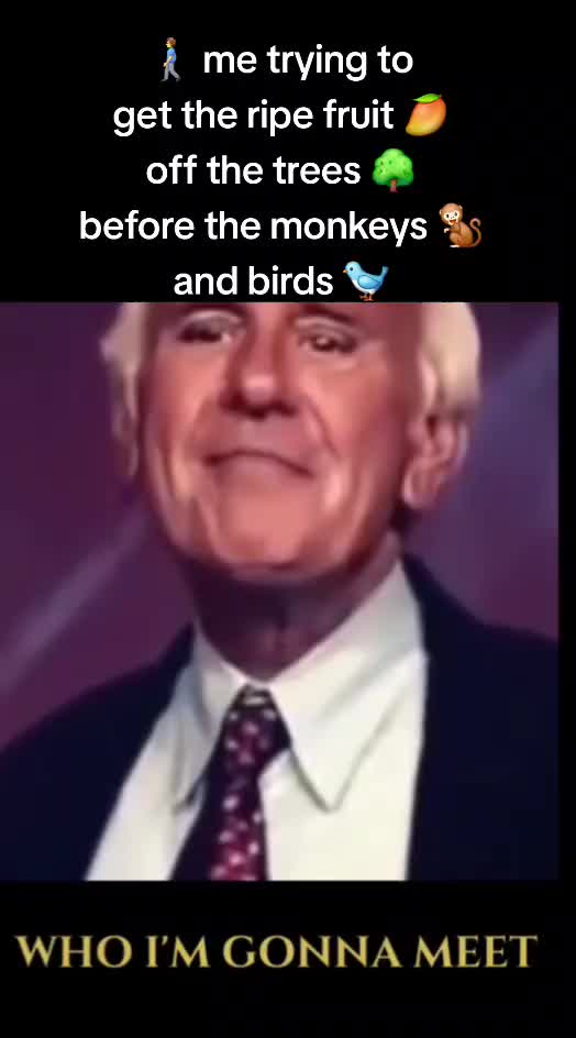 @OURNEWGLOBALSYSTEM