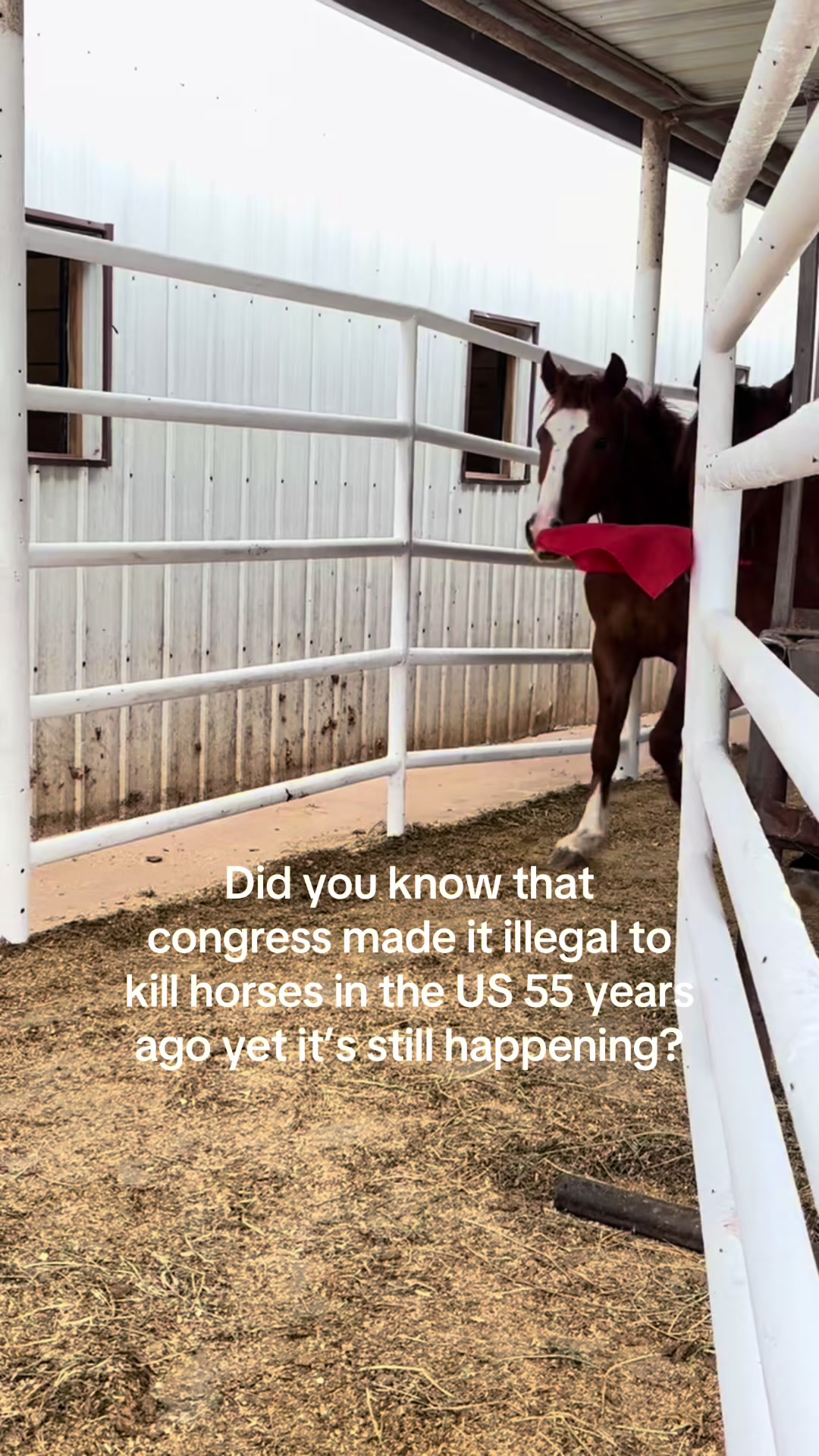 @RewildingAmericaNow