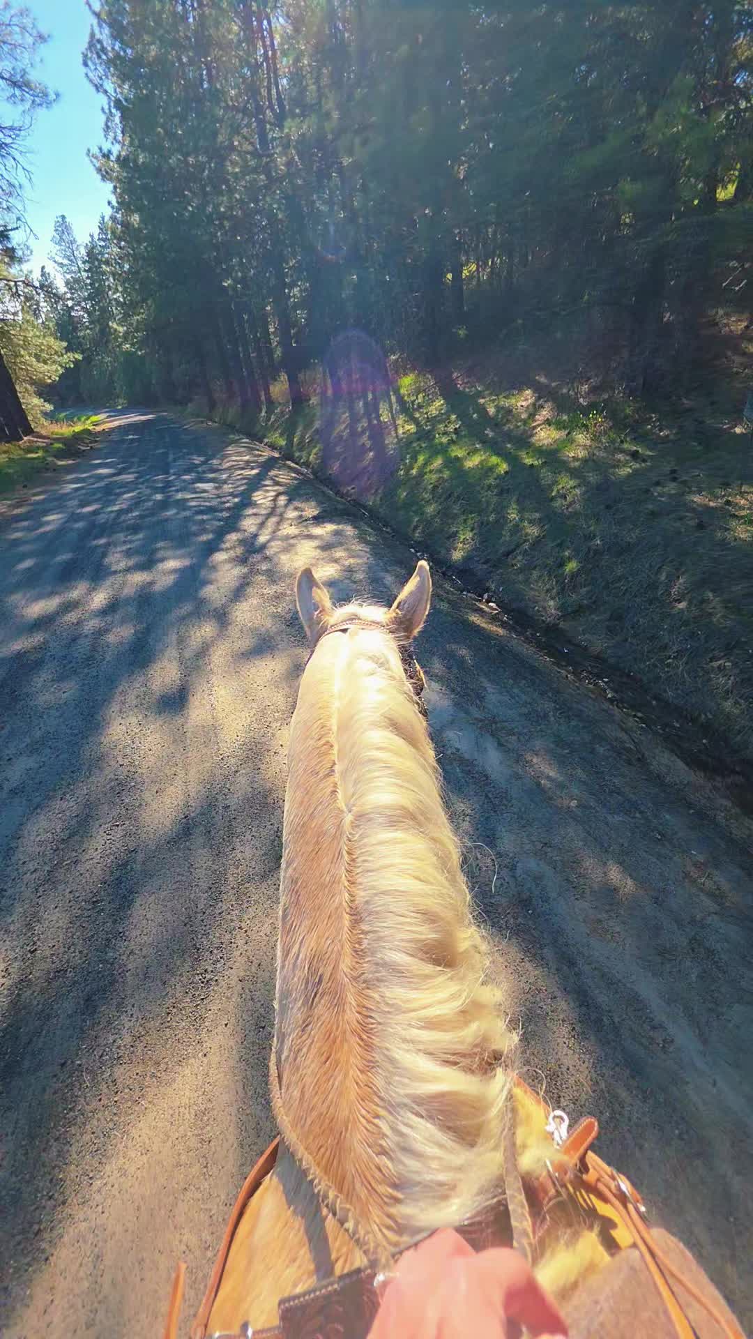 @🐎 Vanessa 🐎