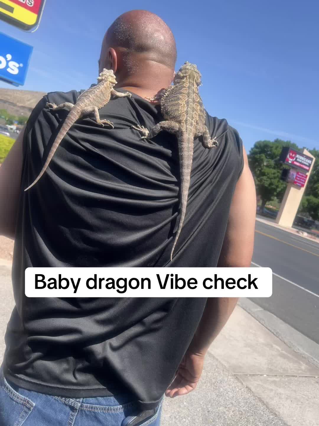 @Whatsmyvibe