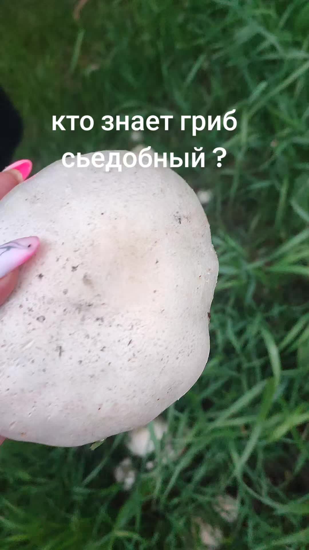 @@ просто Натали @