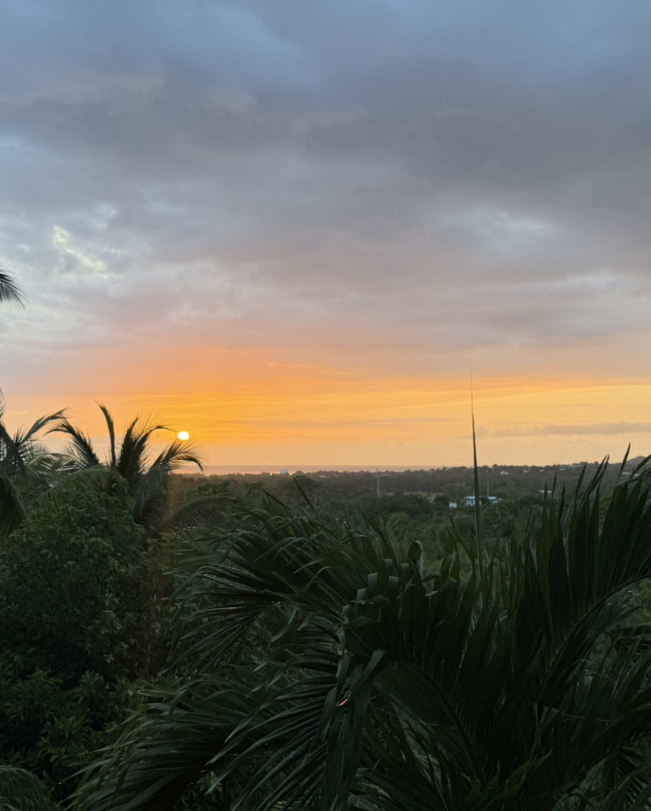 @Belton Tyrone 🇵🇷