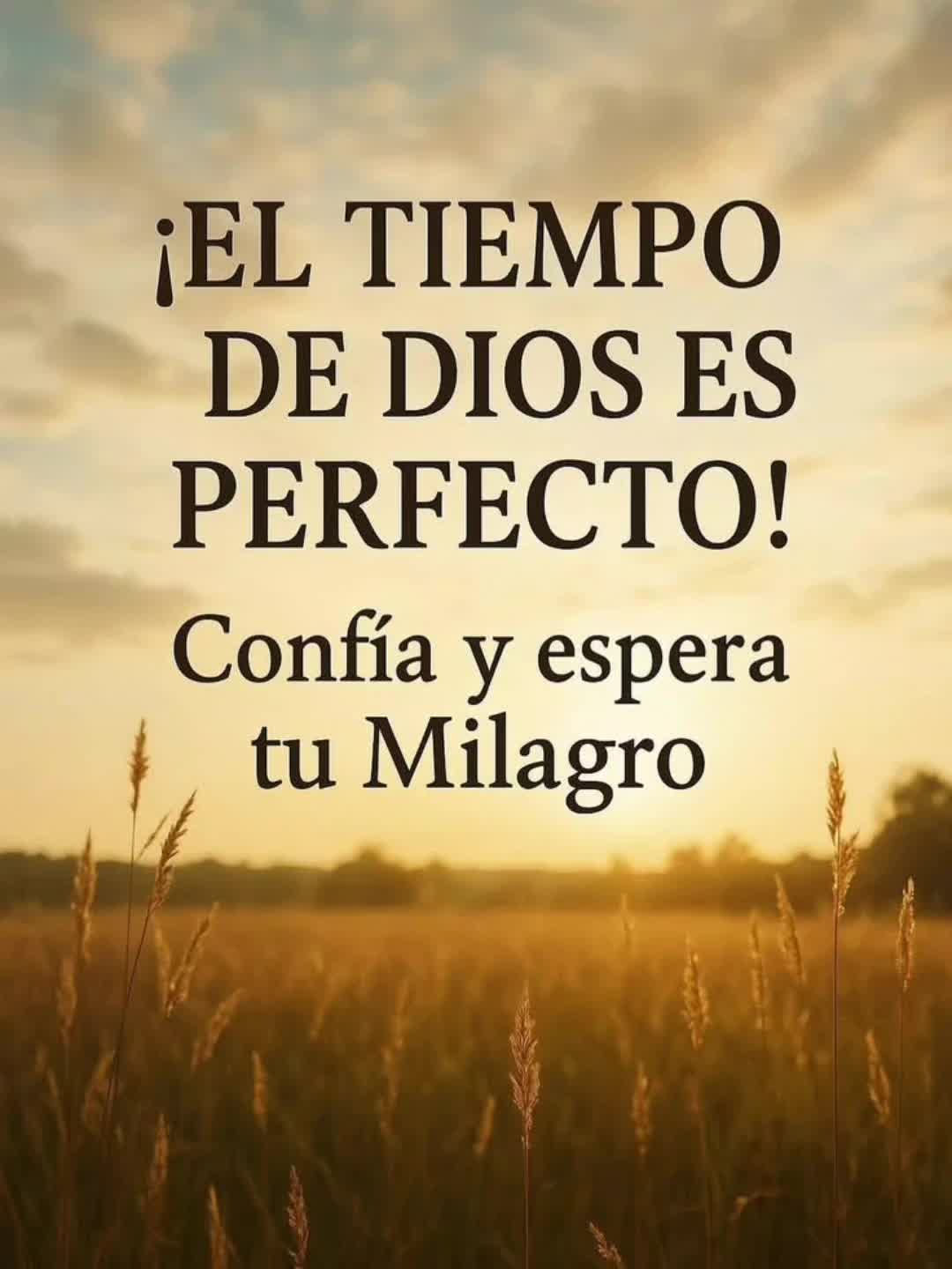 @Sonia M