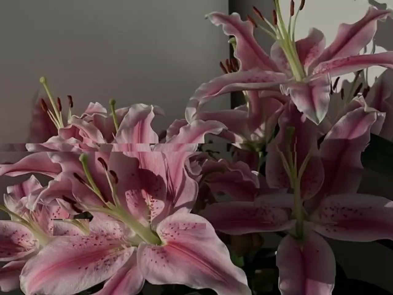 @музыка для липсингов