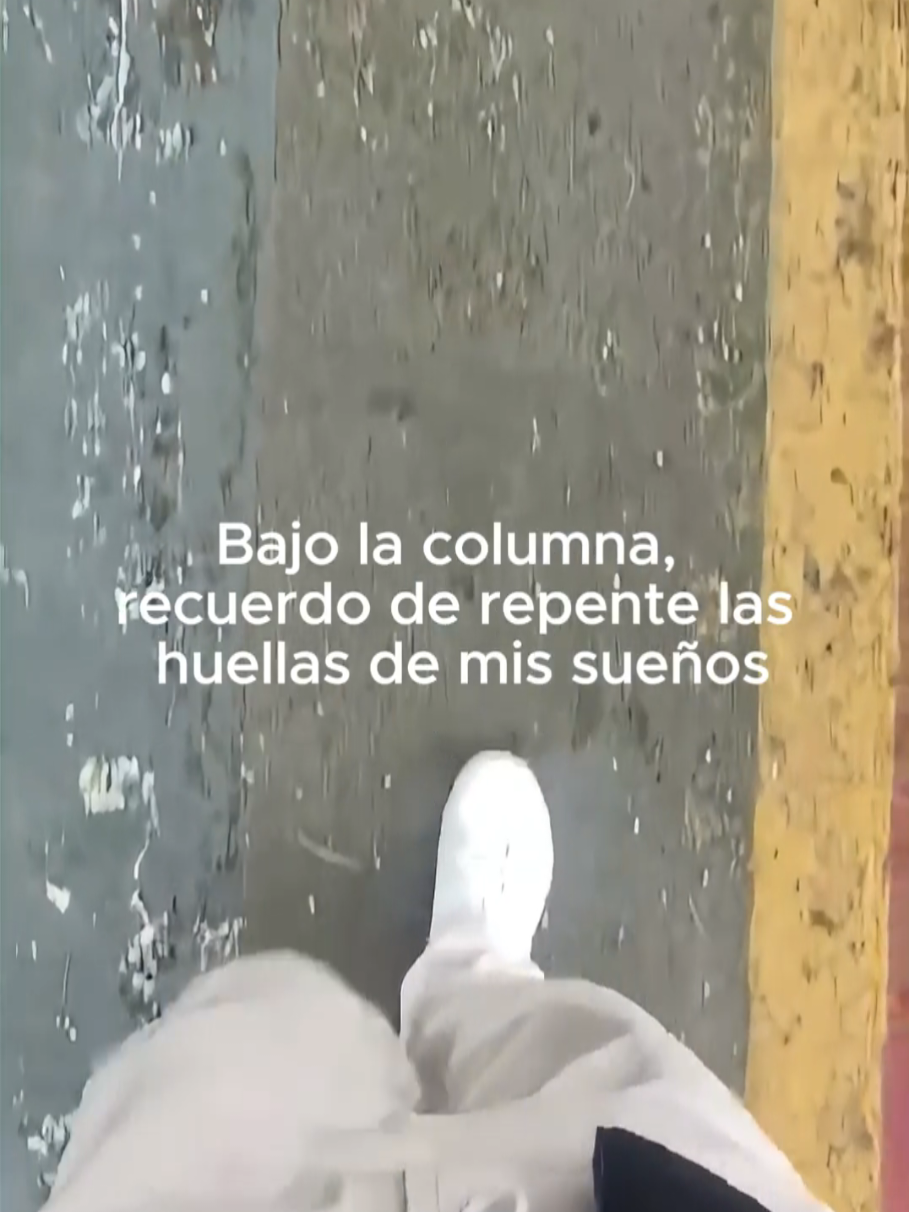 @Tamauta
