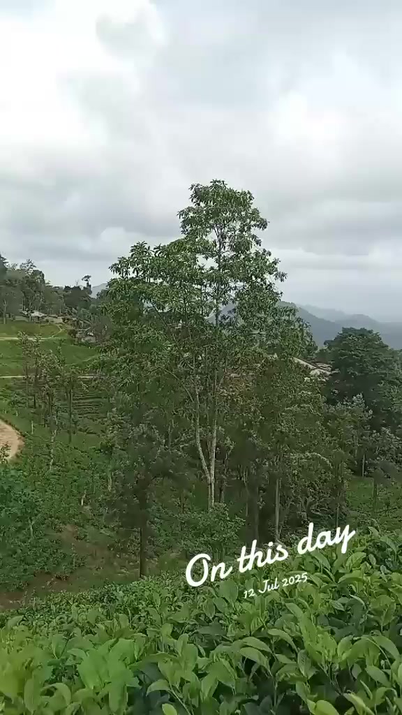 @krishnaveni ammu