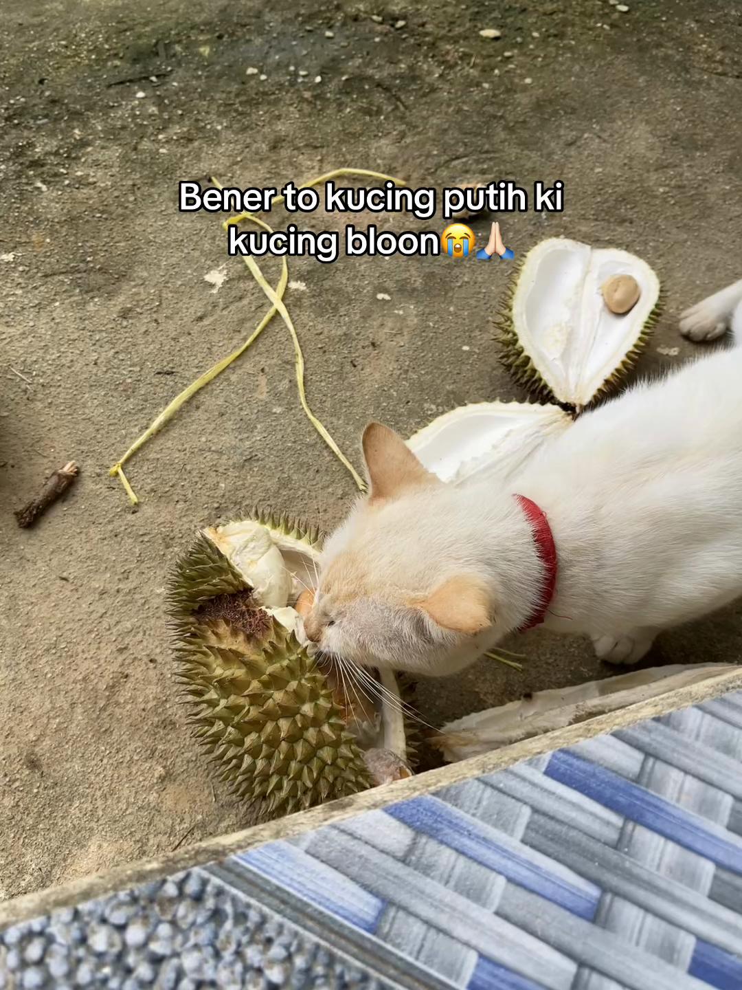 @Niiii