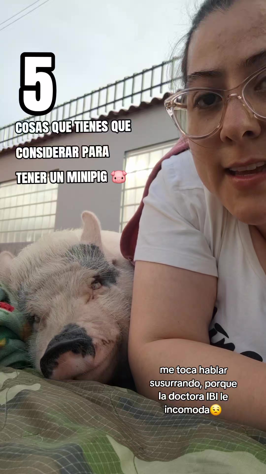 @🐷Ibi.pig🐷