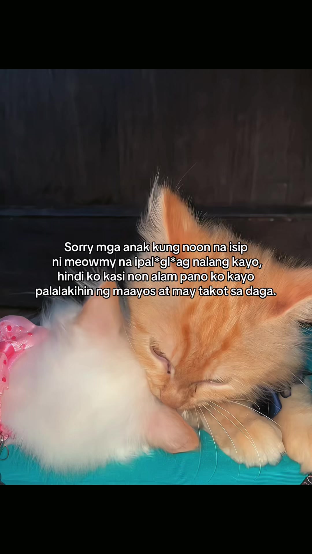 @๐๐๐ช๐ท๐ธ