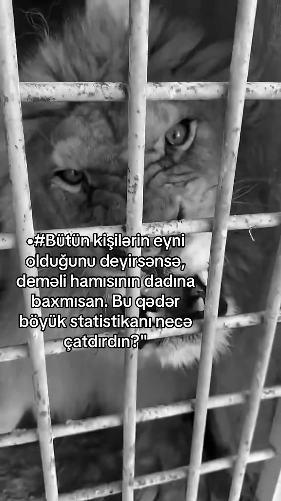 @★彡 VİNİSDON 彡★