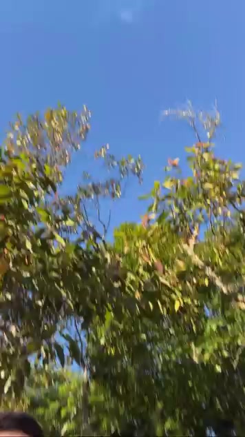 @Simon Bolidos