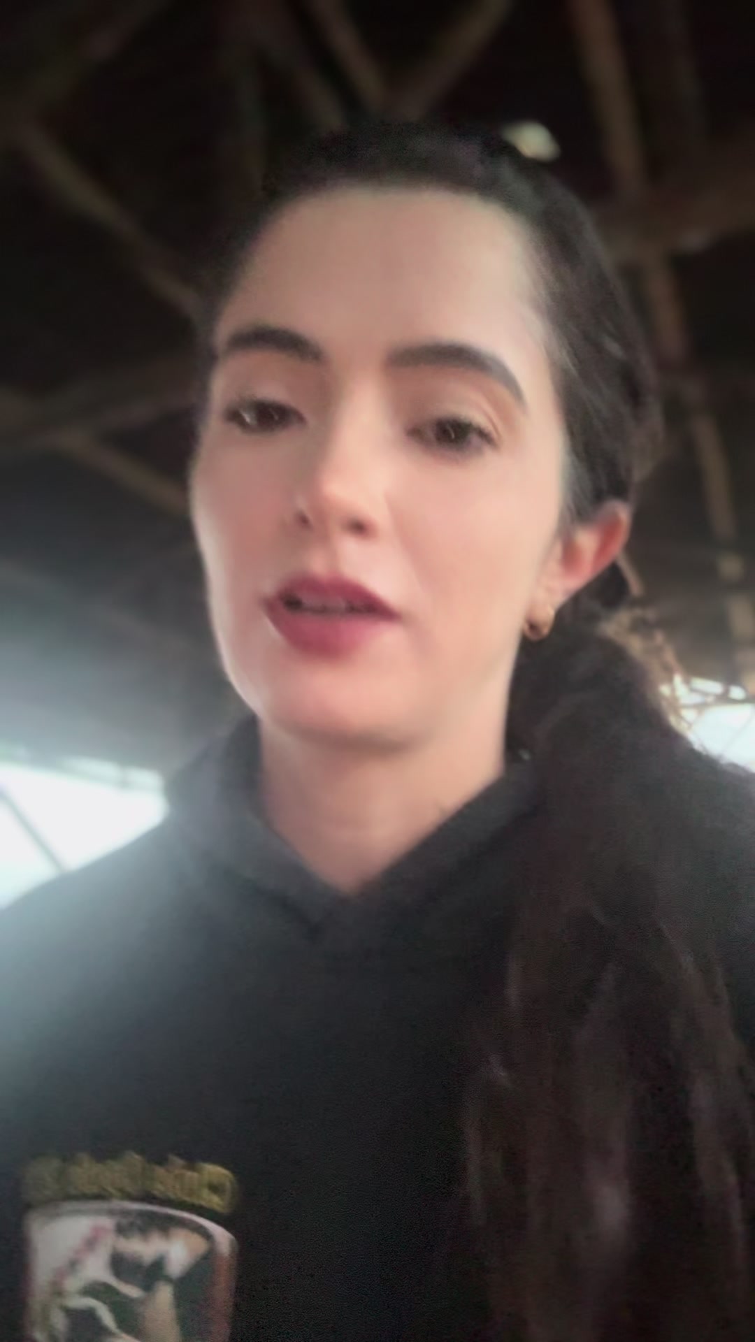 @anacarolinalanavet