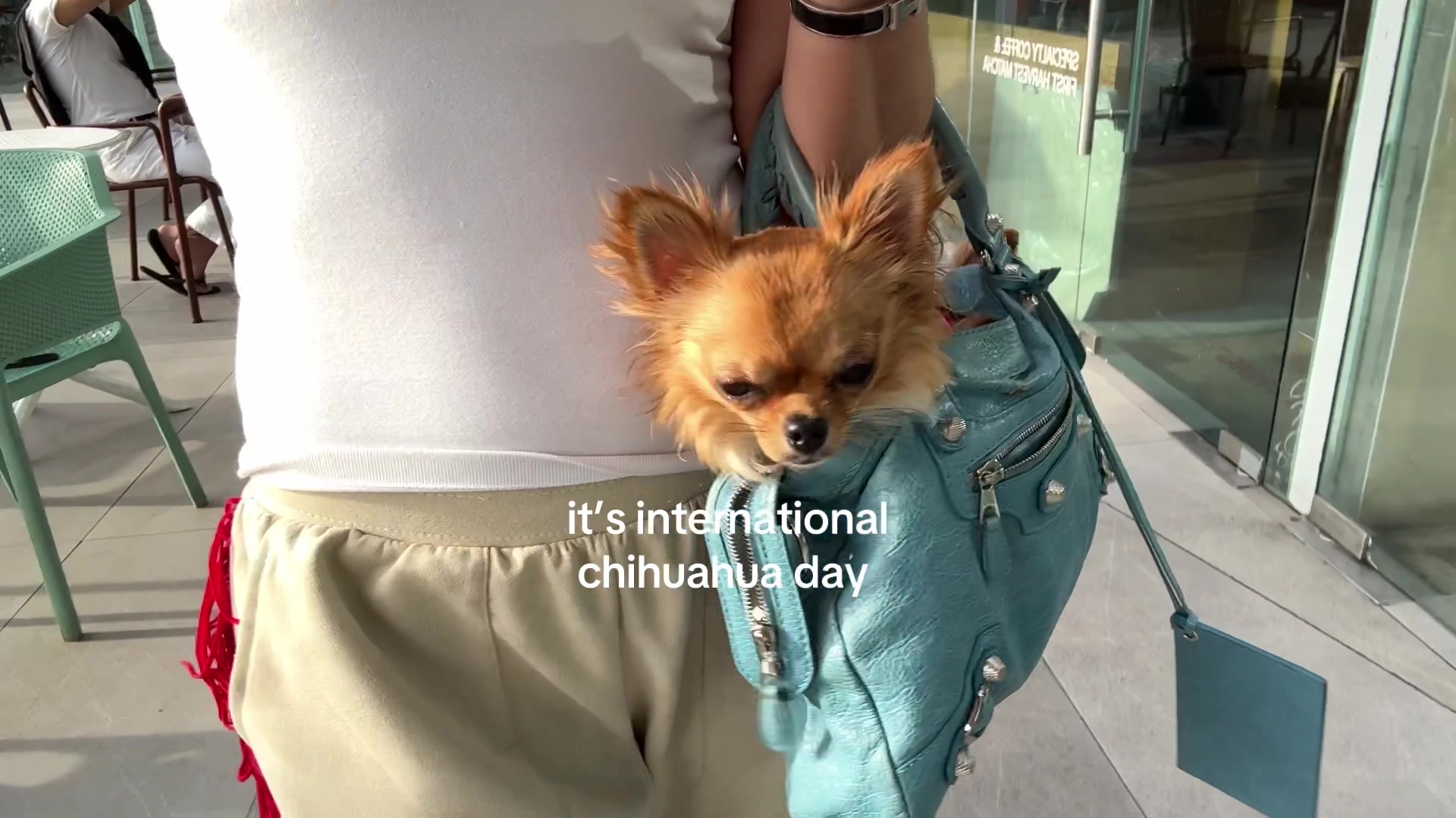 @cherrybombd111