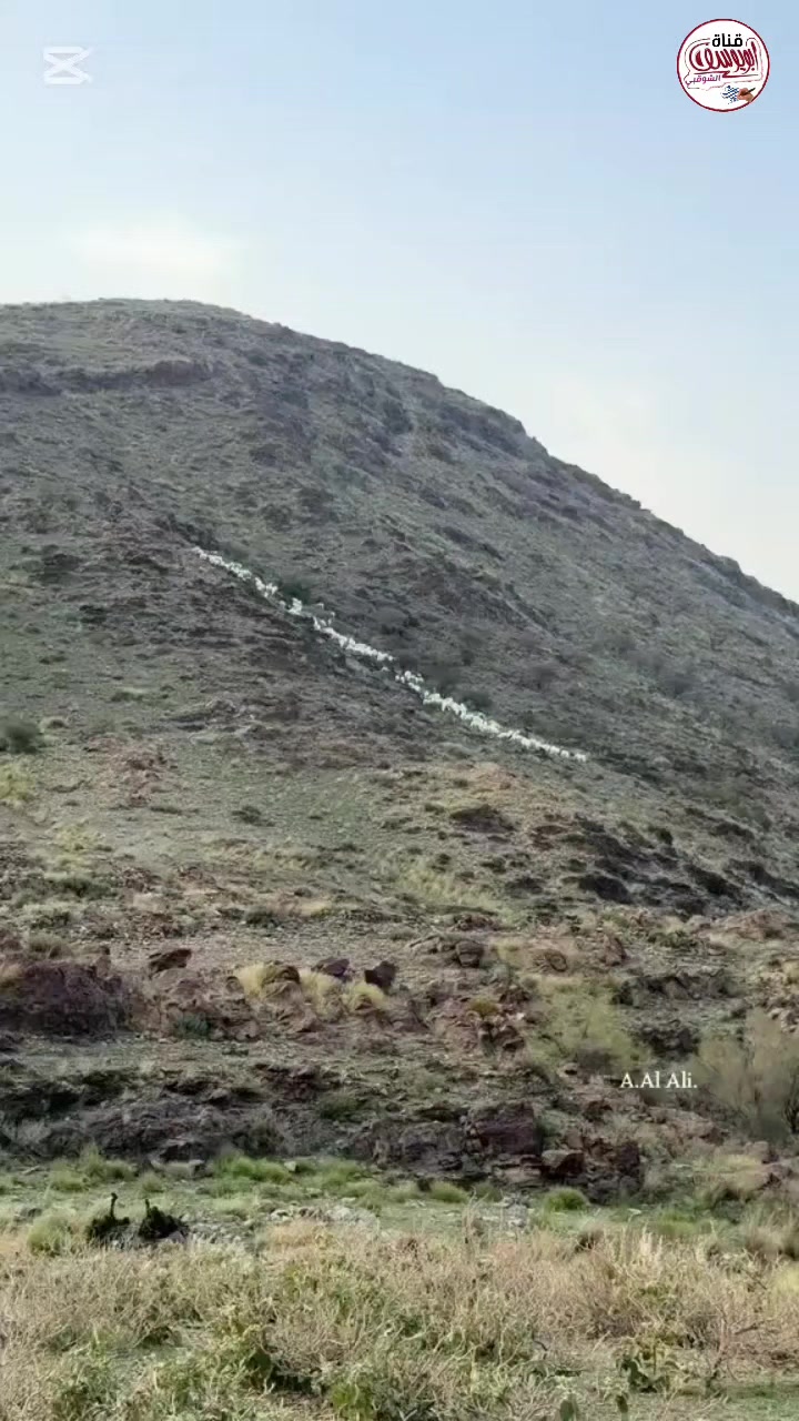 @قناة أبويوسف الشوقبي