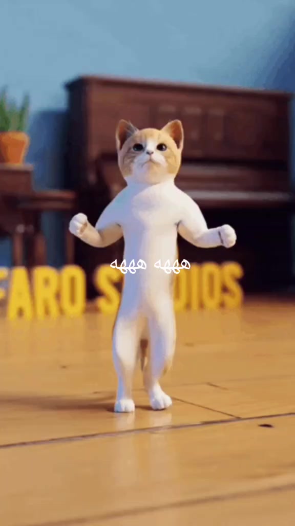 @Zaki Nounou