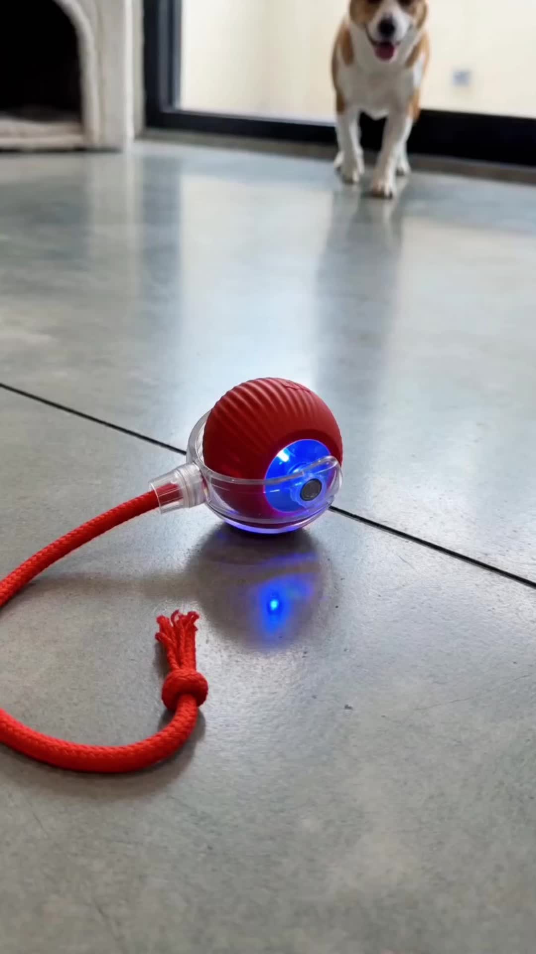 @Funny Ai