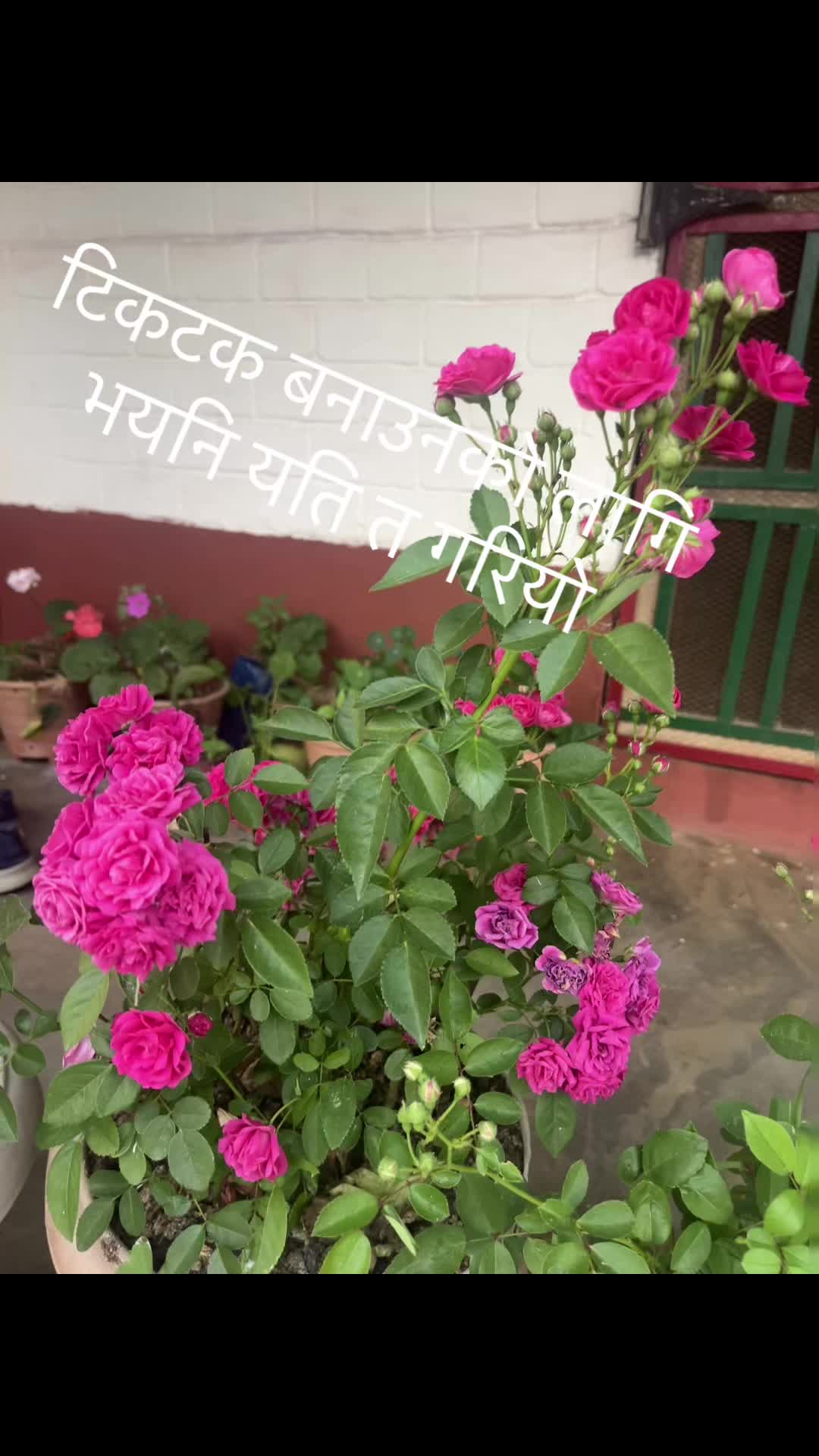 @radharijal971