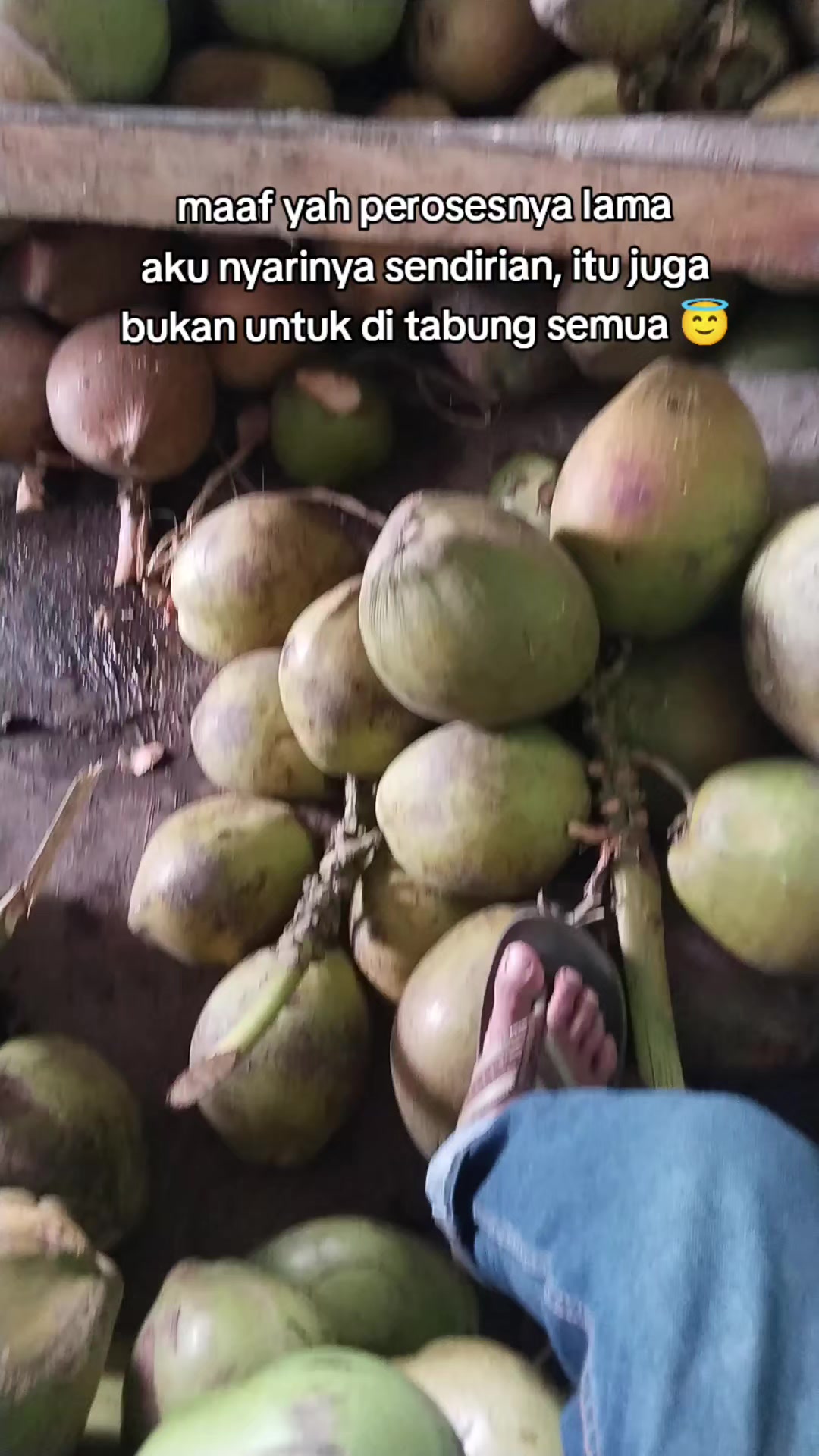 @@BANGKIT_MANDIRI01