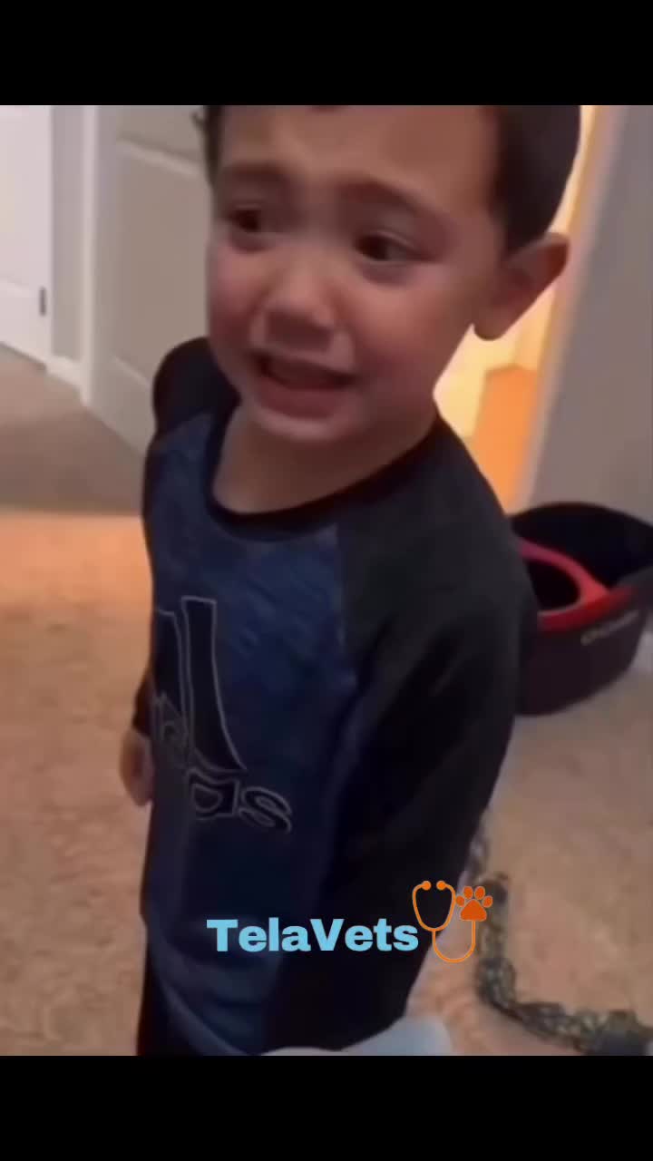 @TelaVets