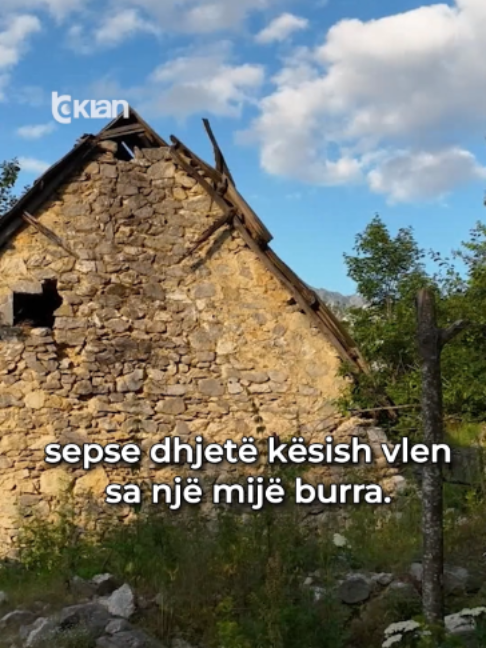 @RTV KLAN
