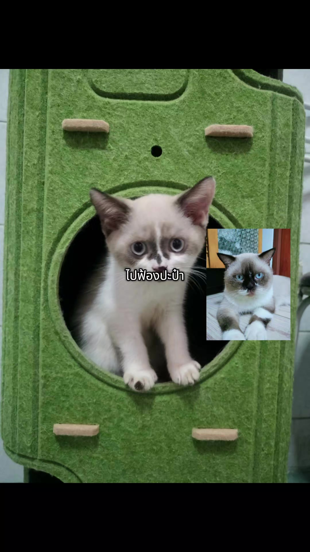@17 มิถุนา า