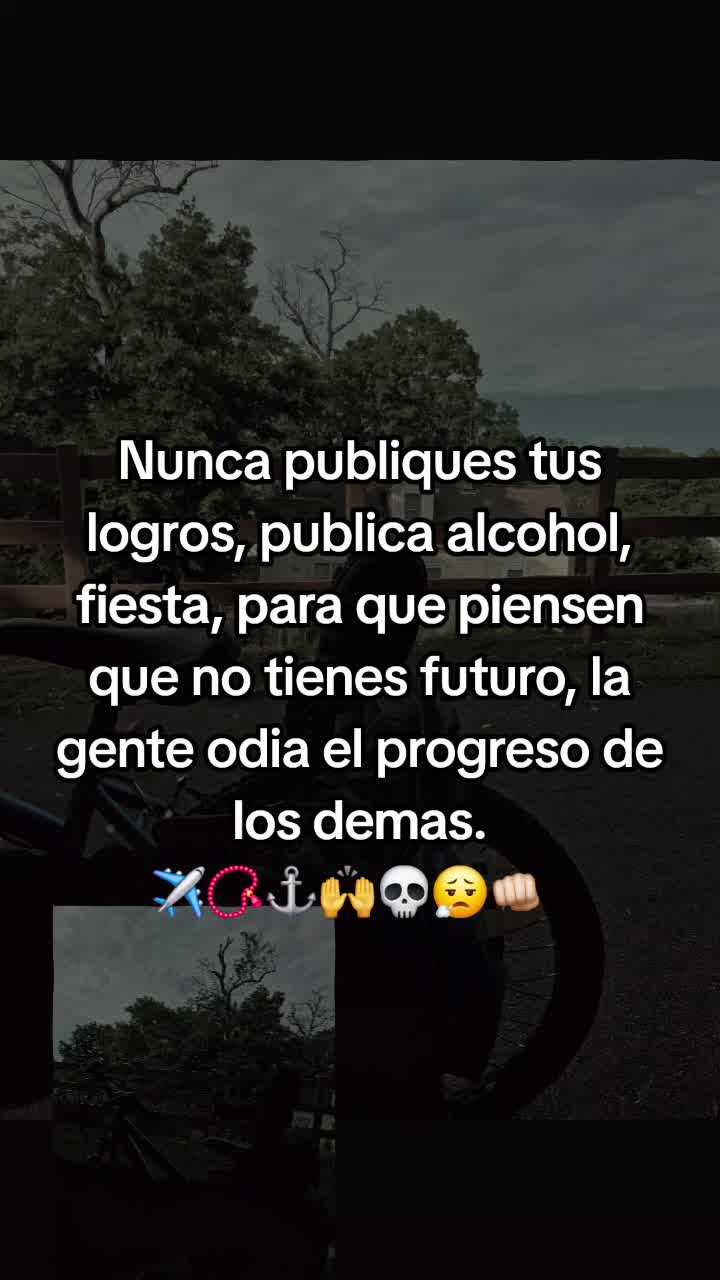 @chapin 502