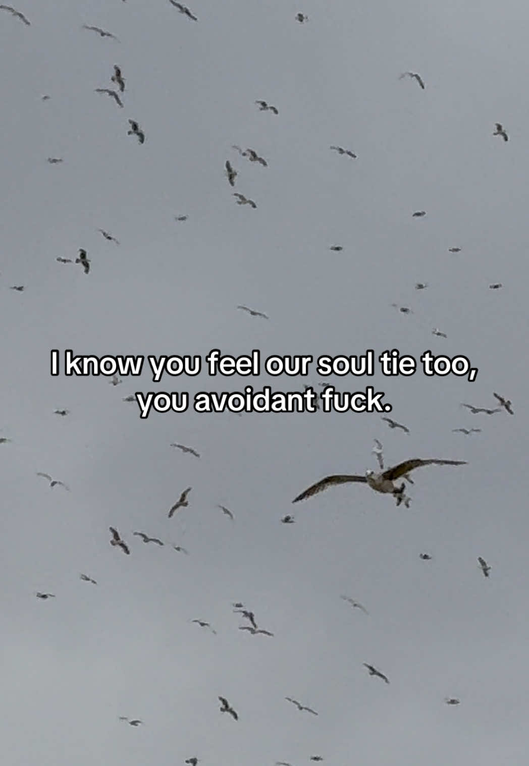 @thesquirrelsnest