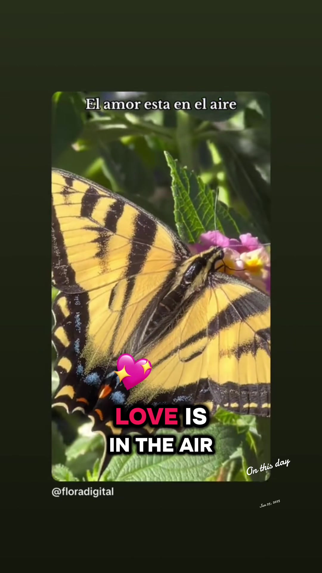 @floradigital