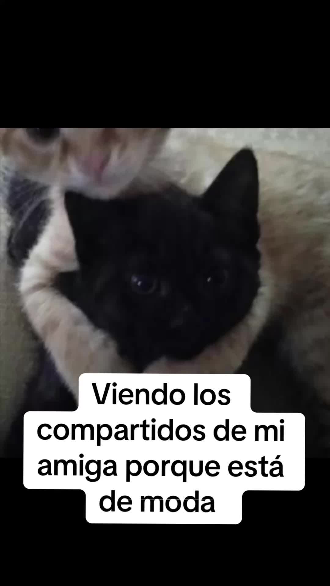 @Lady Astoria