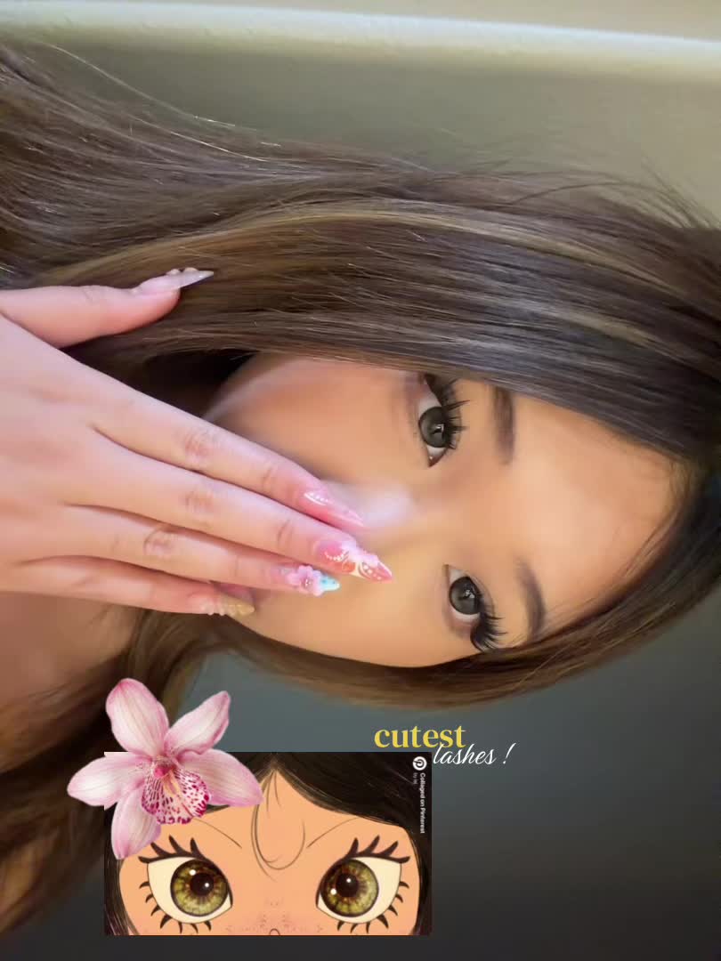 @laiis