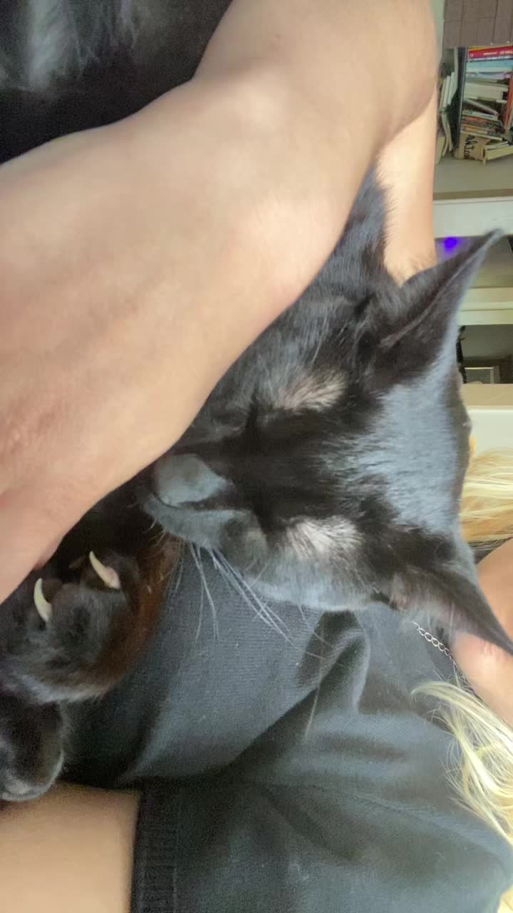 @ilovesleepyhead