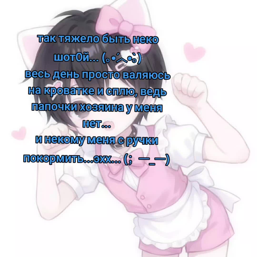 @Setomi