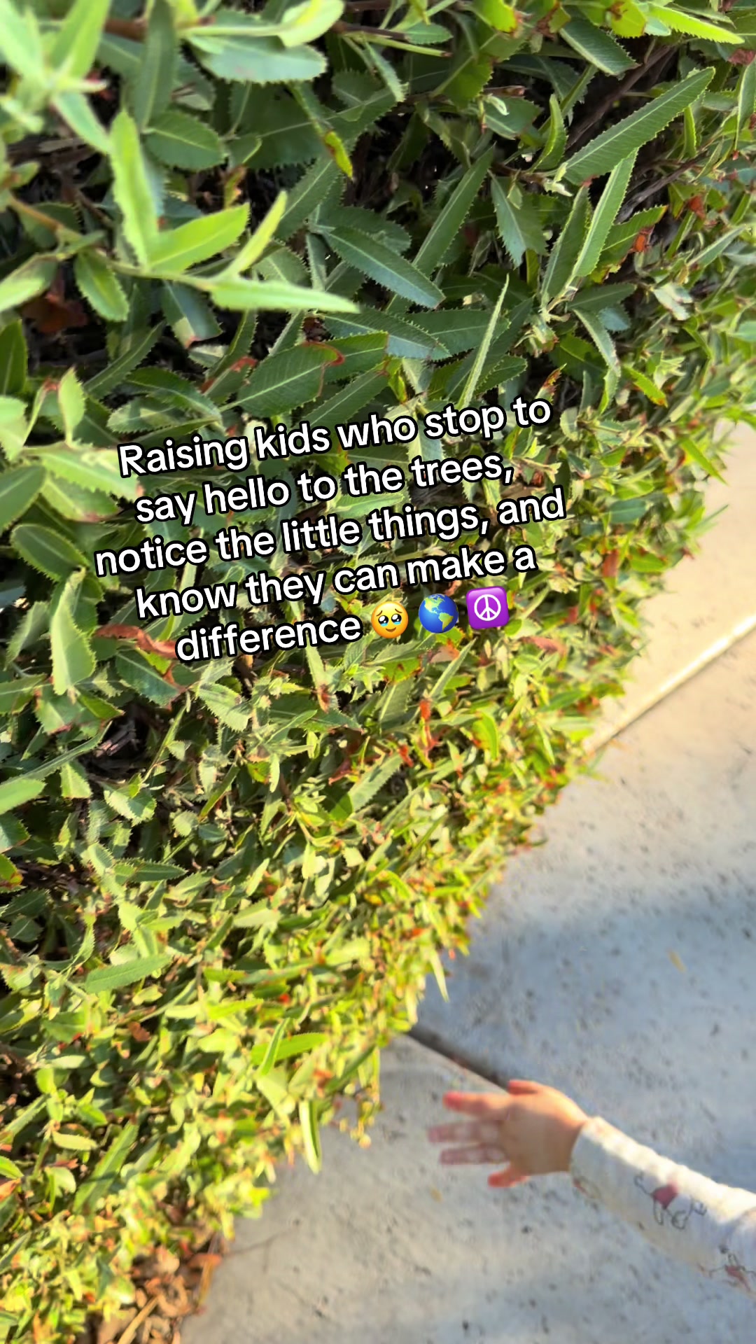 @thewokewildflower