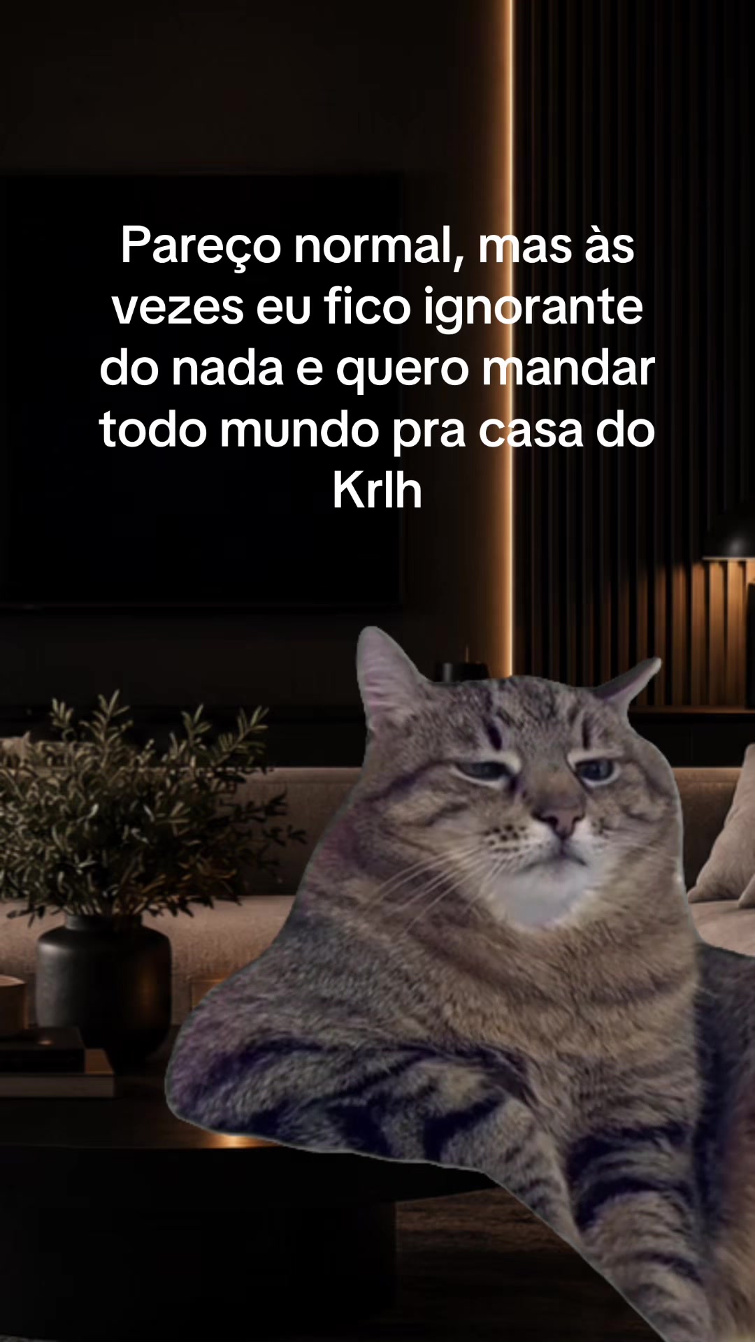 @tababadeira