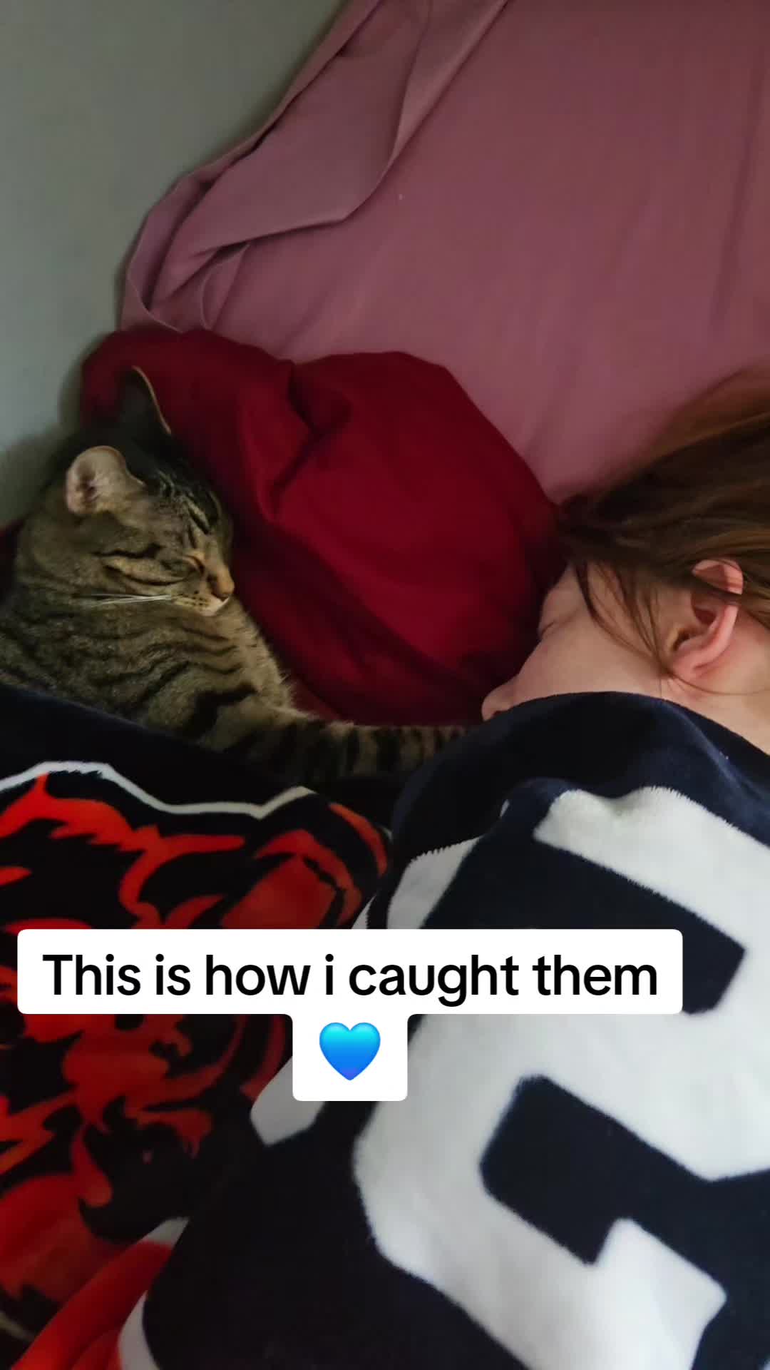 @Kayla