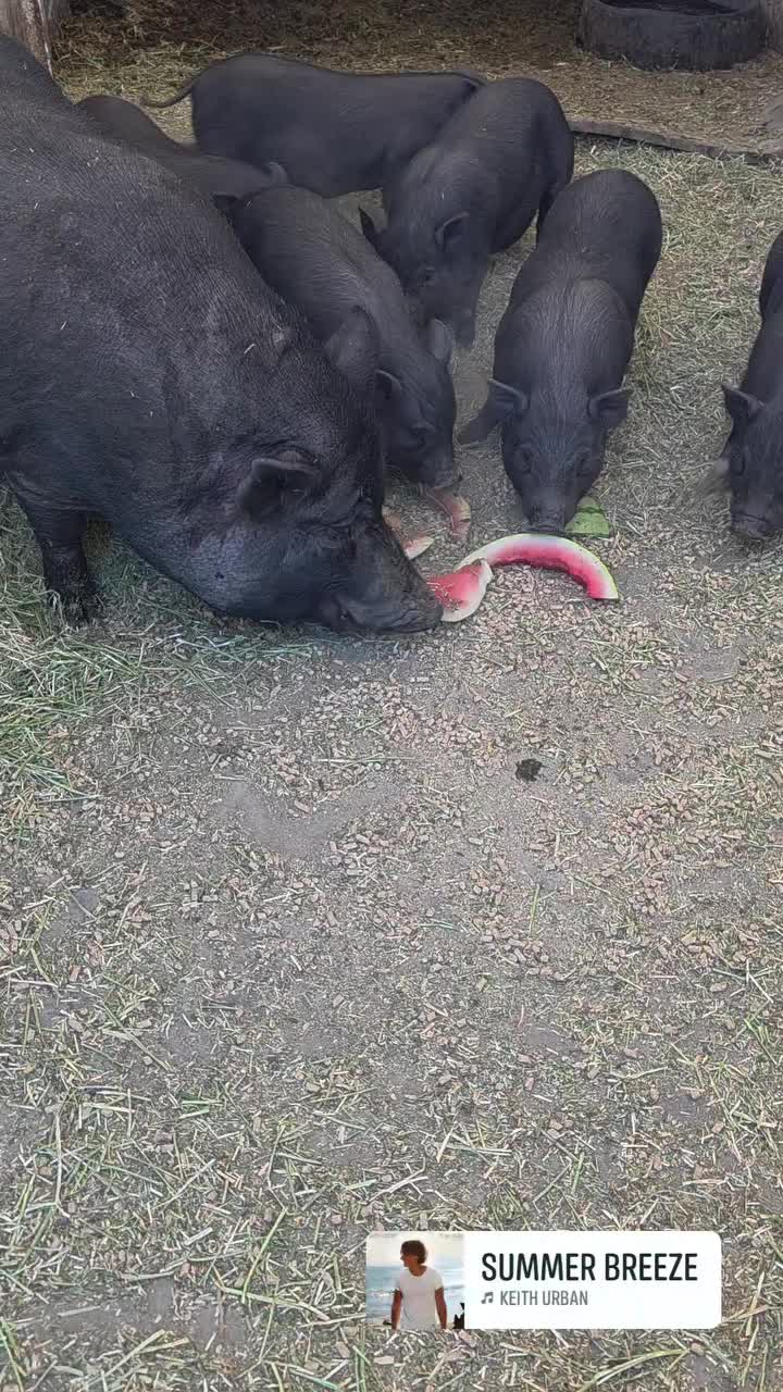 @Buster's Barn