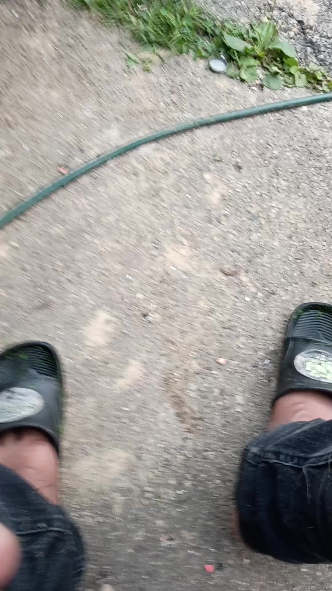 @Mario Landscaping de aurora iL