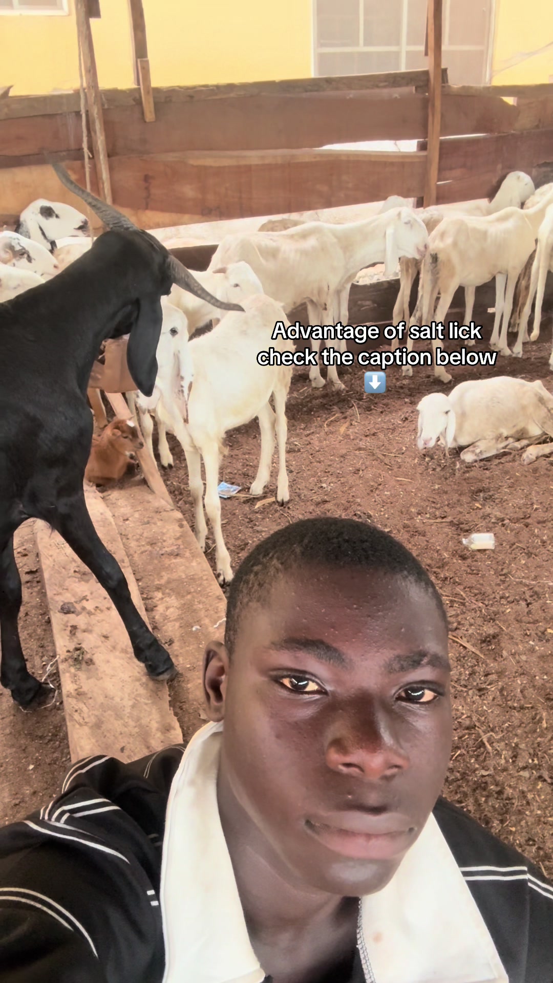 @TIFFARM ILORIN