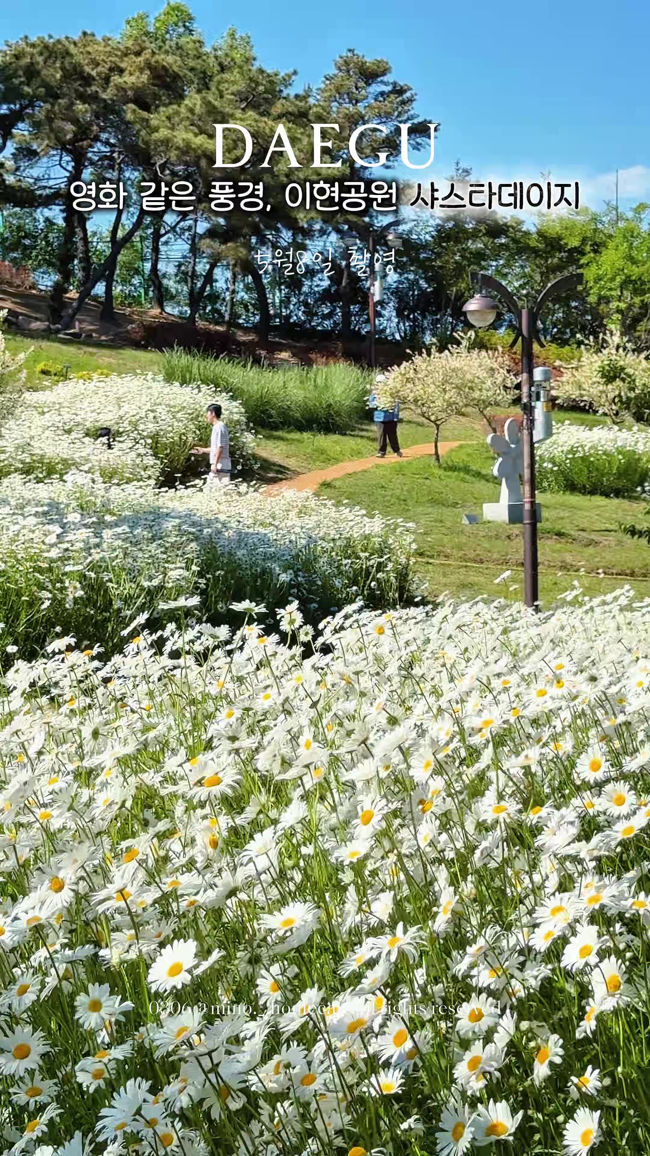 @mino36 미노36