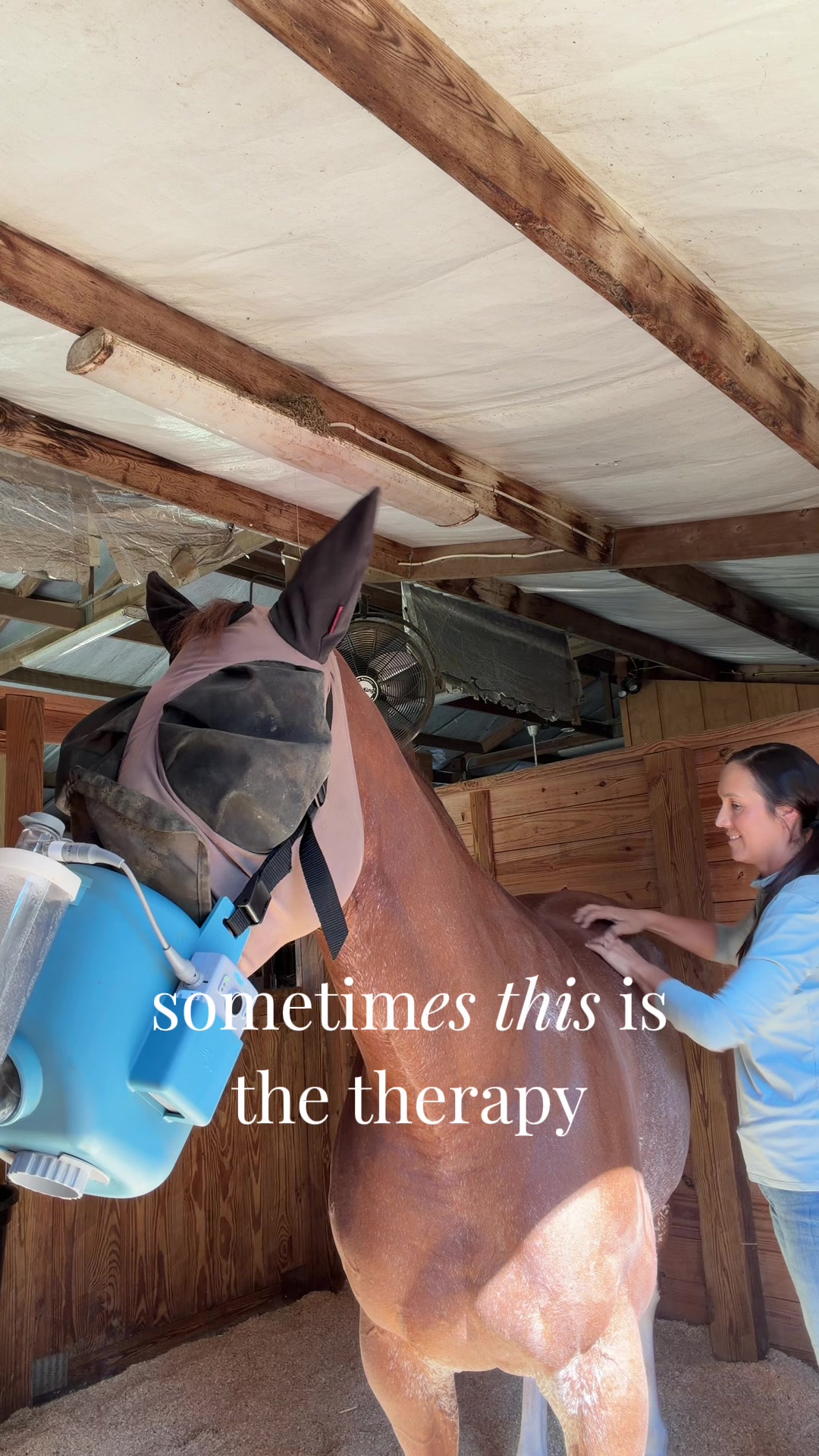 @corderoequine