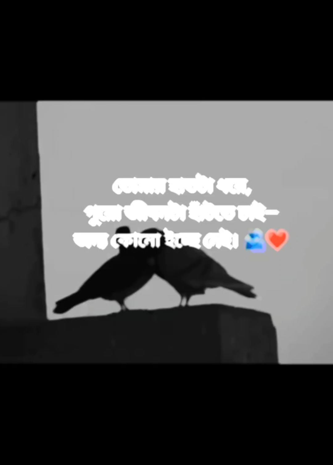 @💻 Ꮪᴀʟᴍᴀɴ々