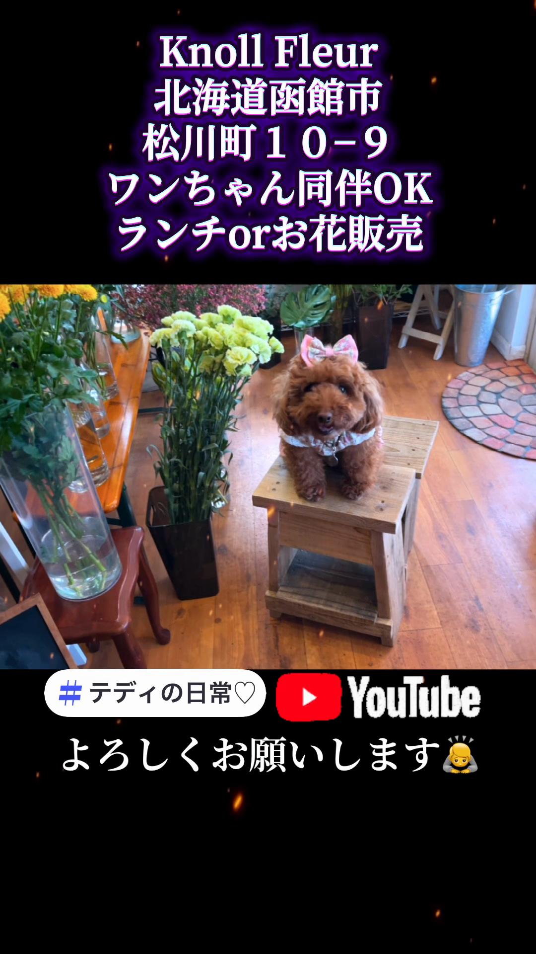 @テディきち