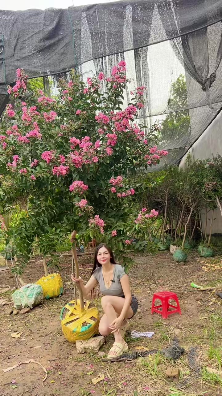 @Khổng La
