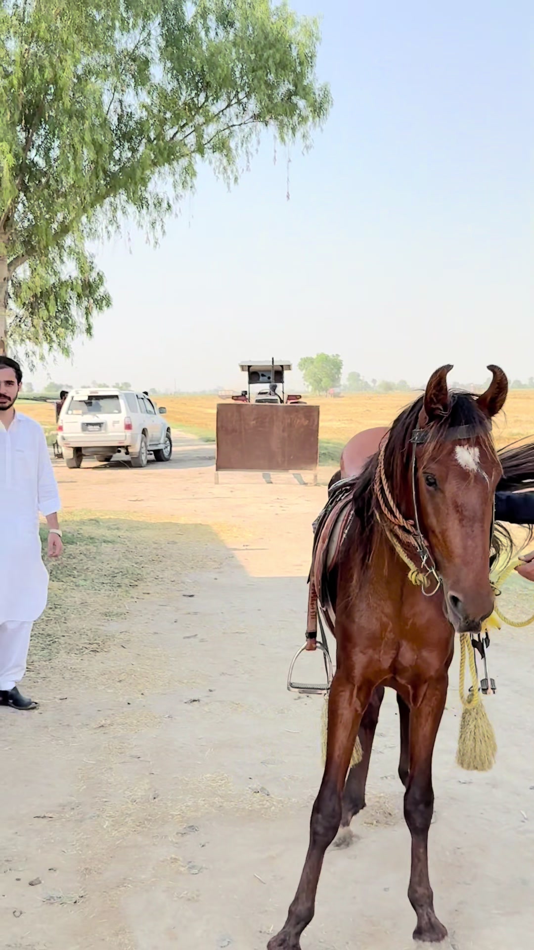 @Raza Hussain Chattha 🦅🏏