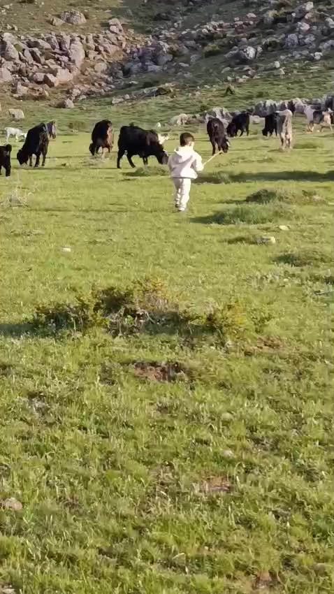 @Ahmet_bakır